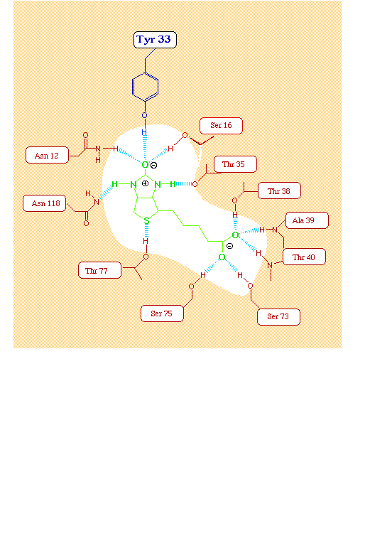 [Figure 1]