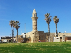 Lab trip Caesarea February 2016 picture no. 14
