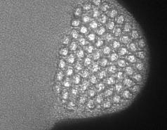 Images of  Transmission Electron Microscopy of Materials picture no. 4
