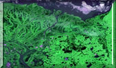 Biological Physics