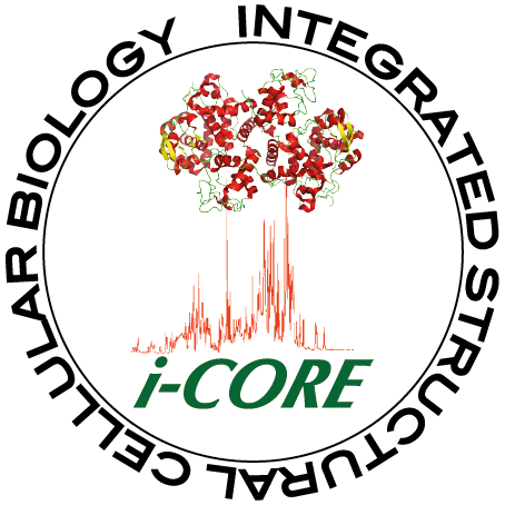 i-CORE, Israeli Centers of Research Excellence
