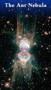 The Ant Nebula