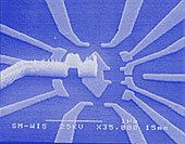 A-which-path controlled decoherence experiment