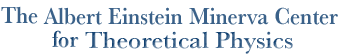 The Albert Einstein Minerva Center for Theoretical Physics