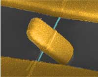 Nanotube pedal