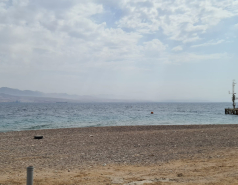 Sample collection Eilat Oct 2021 picture no. 2