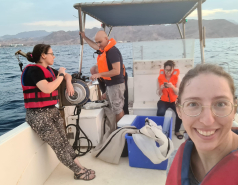 Sample collection Eilat Oct 2021 picture no. 6