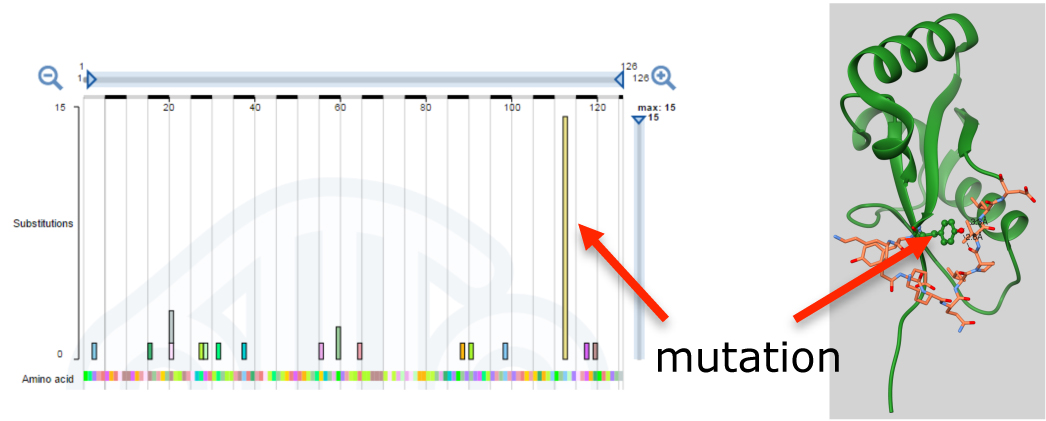 Atg mutation