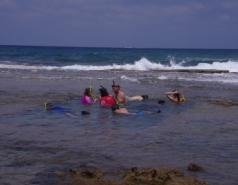 Snorkeling near Hadera - 2014 picture no. 2