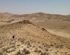 Wild Almond Exploration in the Negev