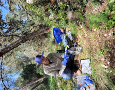 Measuring spring root exudations in Yishi forest