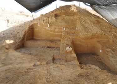 Boker excavations 2015-2016