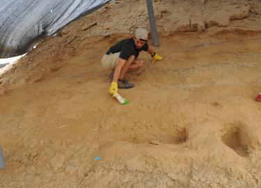 Boker excavations 2015-2016