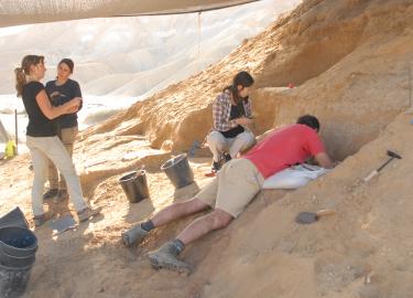 Boker excavations 2015-2016