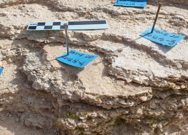 Yavne East excavations and Advanced Field School 2021