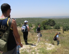 Hameaara steam 2007 picture no. 10