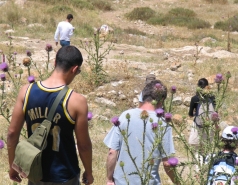 Hameaara steam 2007 picture no. 11