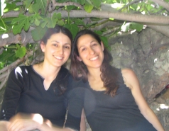 Hameaara steam 2007 picture no. 27