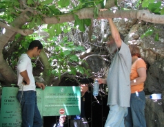 Hameaara steam 2007 picture no. 28