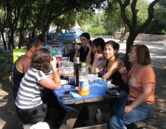 Hameaara steam 2007 picture no. 34