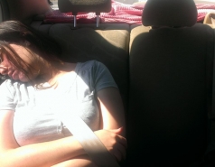 Shikmona 2016 picture no. 10