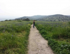 Ella vally 2015 picture no. 14