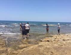 Shikmona 2016 picture no. 14