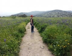 Ella vally 2015 picture no. 28