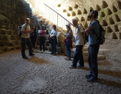 Trip 2019-Beit Guvrin Caves and Purple flowers picture no. 1