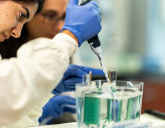 Lab Photo picture no. 11