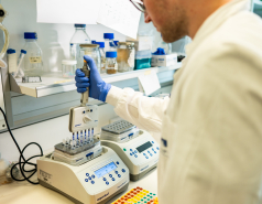Lab Photo picture no. 16