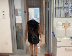 Congratulations, Prof. Ruth Scherz-Shouval!!!  picture no. 18