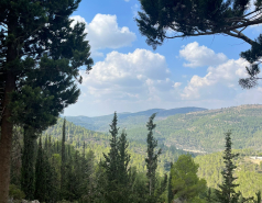 Lab Trip 3.11.22 picture no. 2