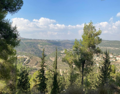 Lab Trip 3.11.22 picture no. 9