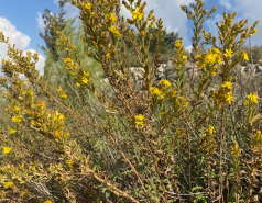 Lab Trip 3.11.22 picture no. 10