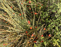 Lab Trip 3.11.22 picture no. 12