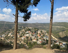 Lab Trip 3.11.22 picture no. 13