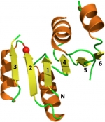 Topology of the ancient Rossmann fold