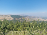 Retreat 2022 - Kfar Giladi picture no. 108