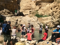 Retreat 2015 - Dead Sea picture no. 2