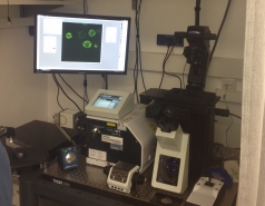 Our spinning-disk microscope