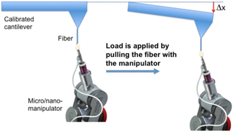Manipulation, mechanical properties measurements
