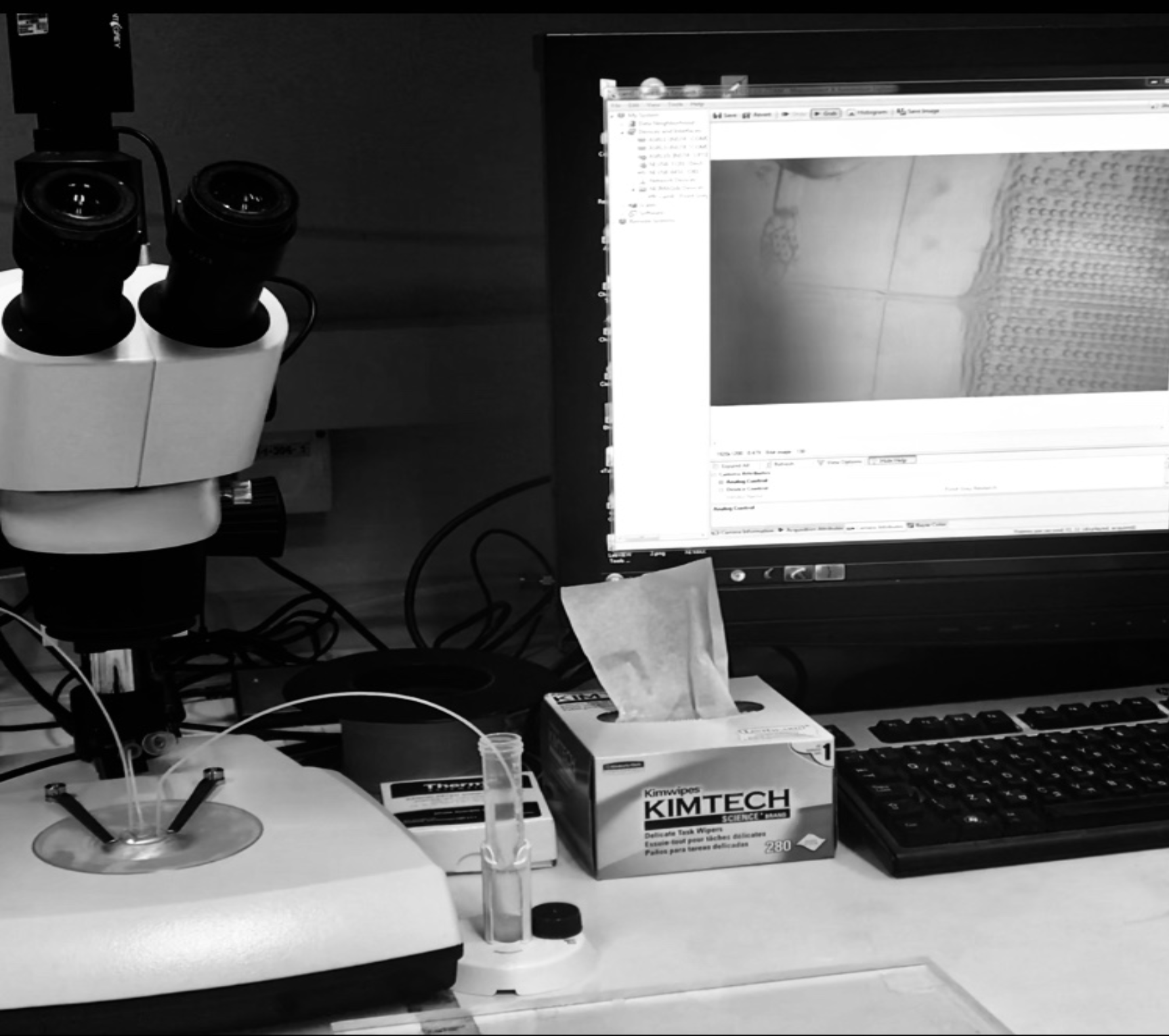 WISDOM setup for studying ice nucleation 