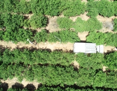 Truck in the Weizmann Institute "urban orchard", 2018 picture no. 3