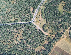 Yatir forest, March 2018 picture no. 5