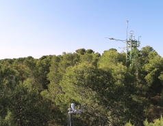 Yatir forest, March 2018 picture no. 7