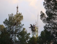 The Yatir Forest - Snow in 2015 picture no. 1