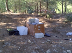 The Yatir Forest - Sept. 2012 picture no. 6