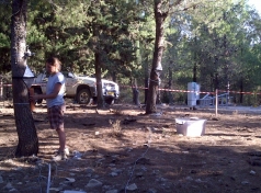 The Yatir Forest - Sept. 2012 picture no. 5