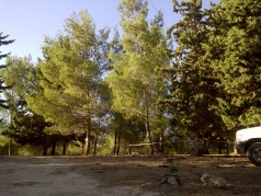 The Yatir Forest - April 2012